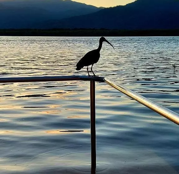 ユースホステル Pousada Ninhal Das Garças