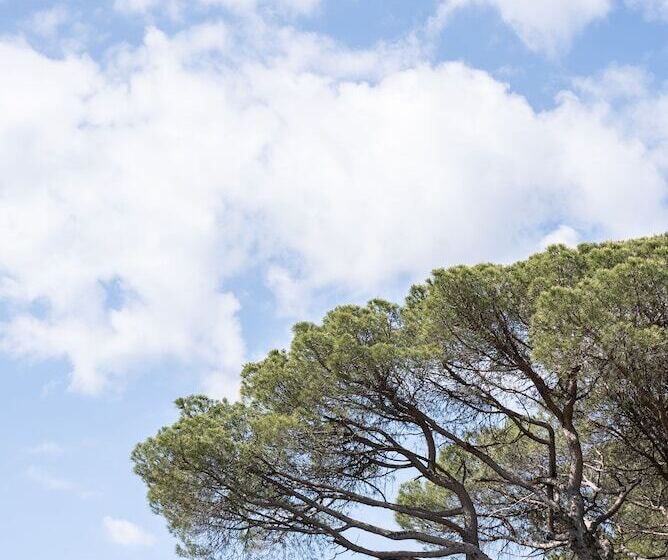 مبيت وإفطار La Bastide Du Mourre