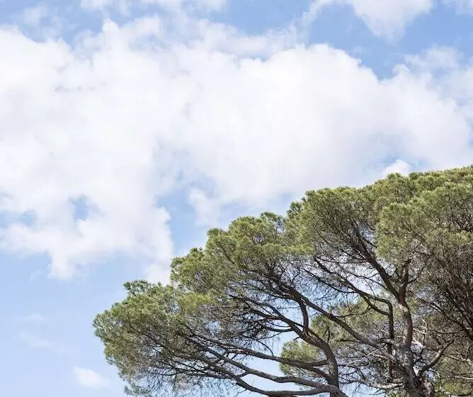 ベッドアンドブレックファースト La Bastide Du Mourre