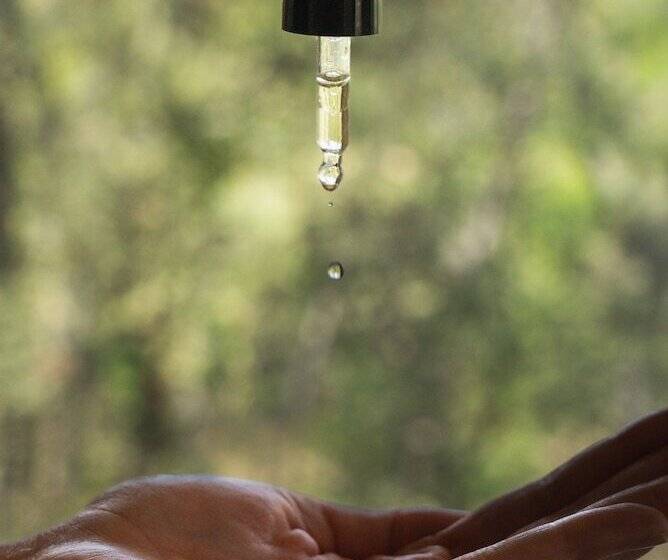 مبيت وإفطار La Bastide Du Mourre