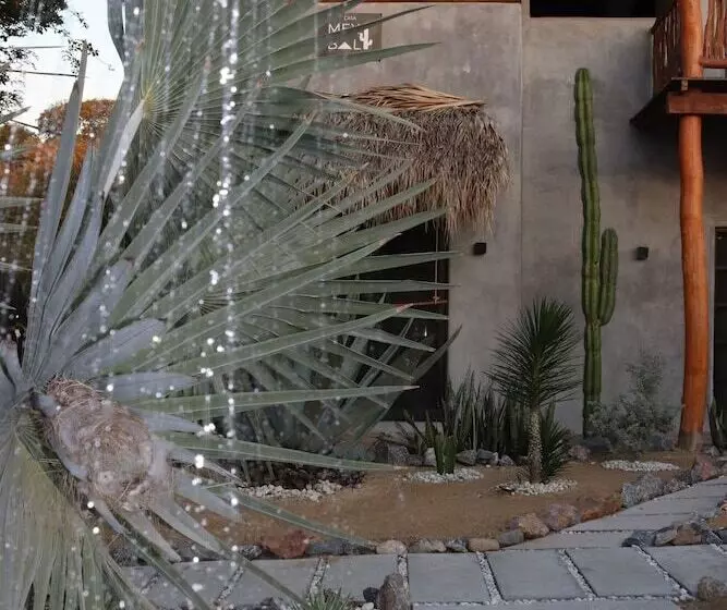 Casa Mexibali, Suite Bali