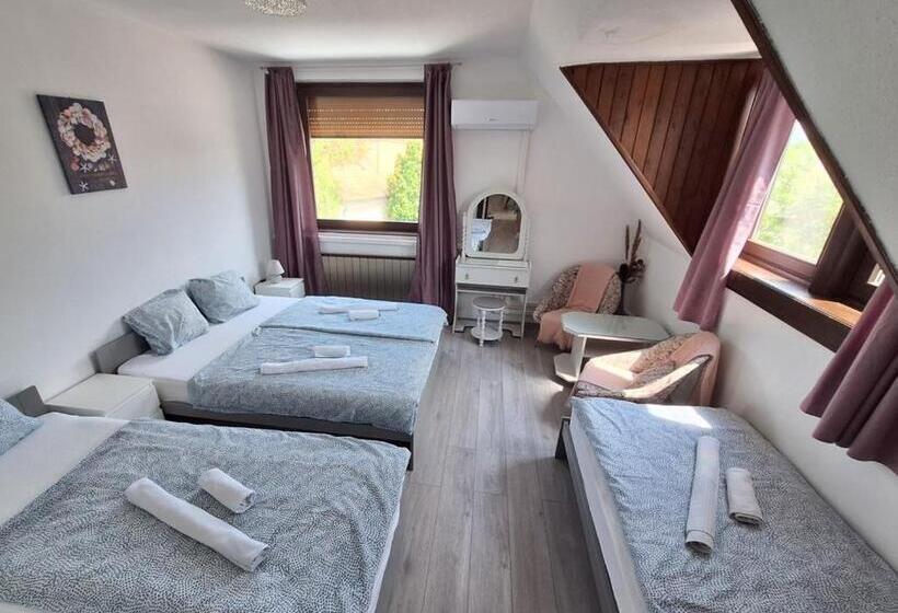 Пансион Aniiza Apartman