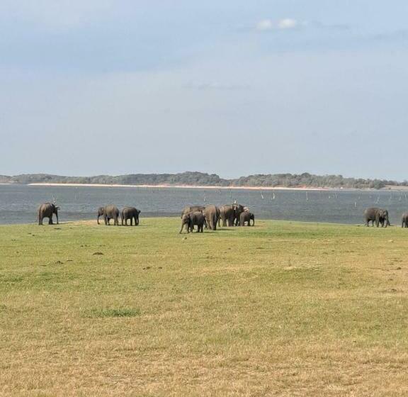 Sigiriya Rastha Hostel