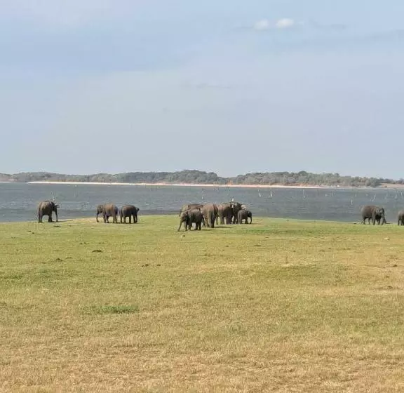 Sigiriya Rastha Hostel