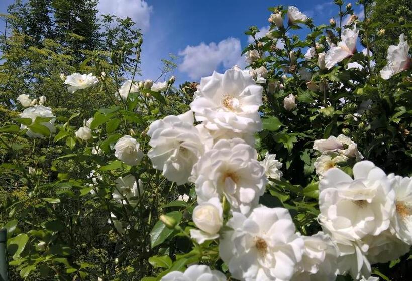 Das Kleine Hotel Iphofen, Frühstückszauber, No Waste, Nachhaltig, Nahe Aller Weingüter, Knauf Gips K