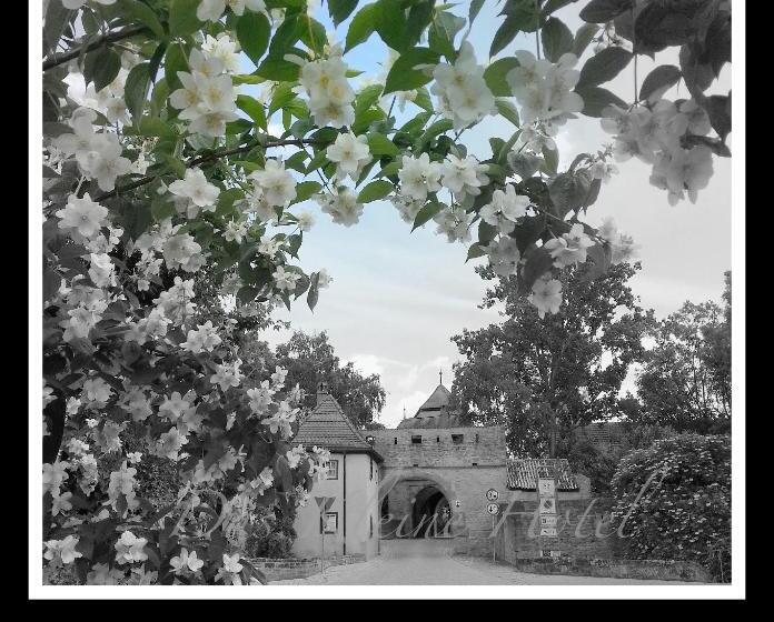 Das Kleine Hotel Iphofen, Frühstückszauber, No Waste, Nachhaltig, Nahe Aller Weingüter, Knauf Gips K