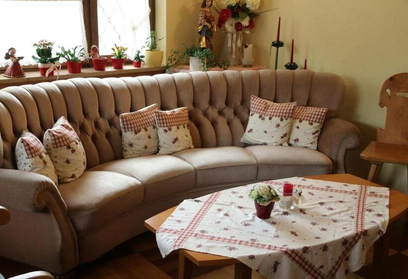 Отель Adler Post