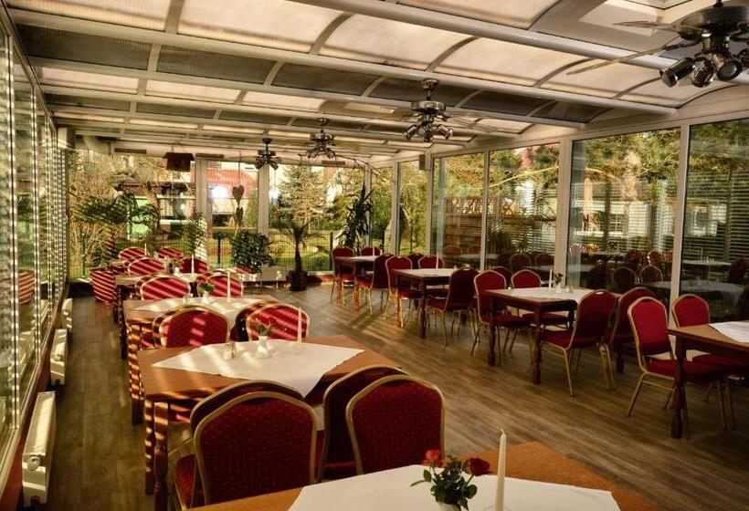 בית מלון כפרי Am Stadtwald