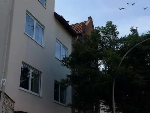 ホテル Apartment Hildesheim