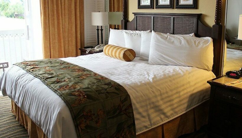 בית מלון כפרי Cockpit