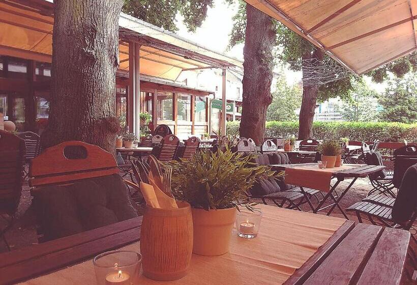 Hotel Gasthaus Papen änne