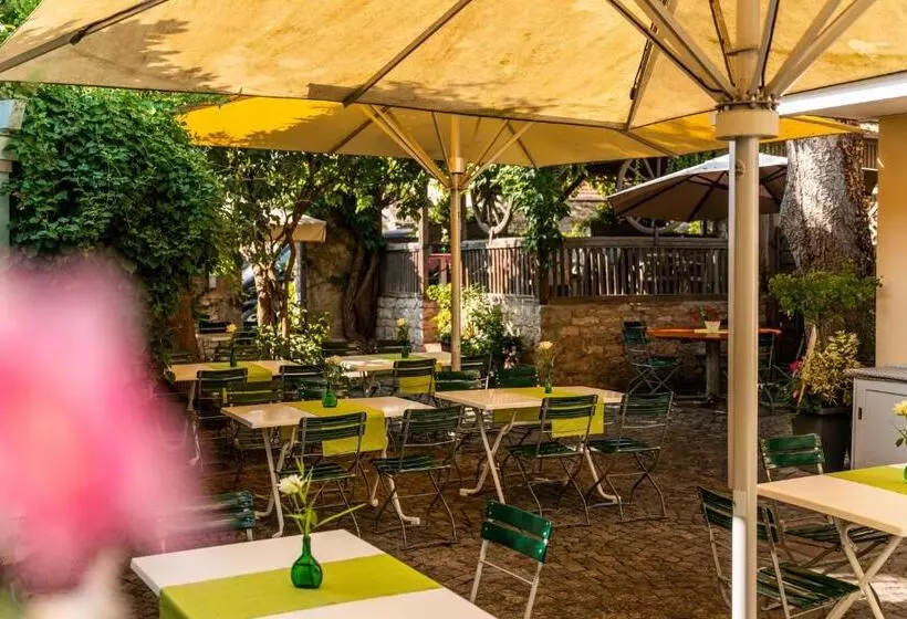 Hotelli Gasthaus & Weingut Zum Stern