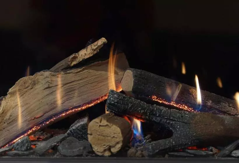 ホテル Grüner Baum