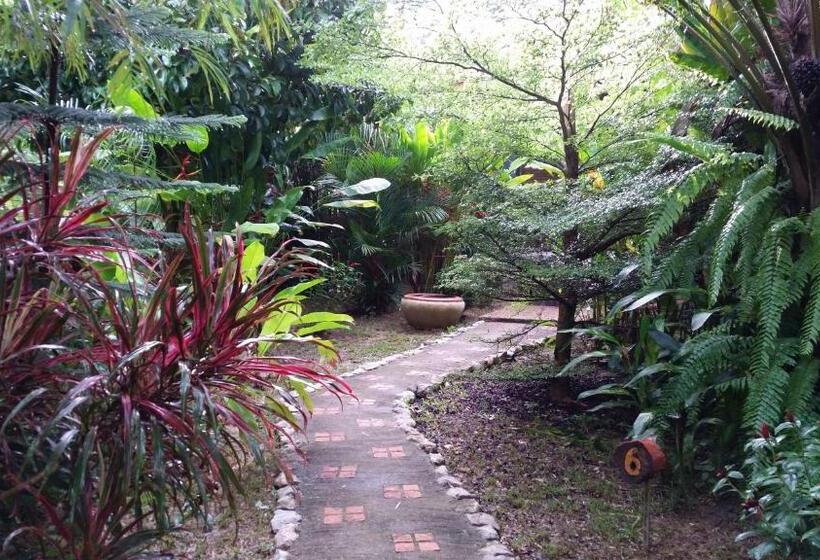 酒店 Khaosok And Spa