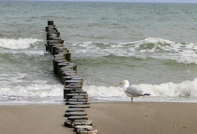 هتل Pension An Der Reling