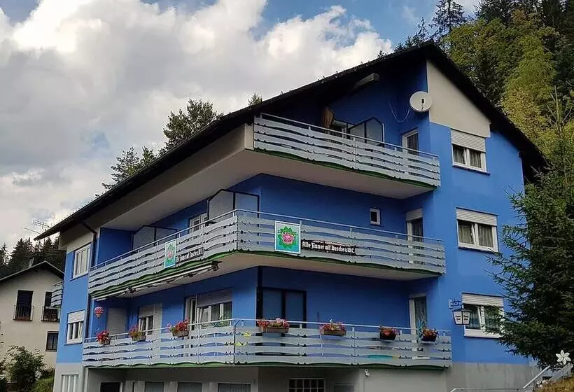 Hotelli Pension Blaues Haus