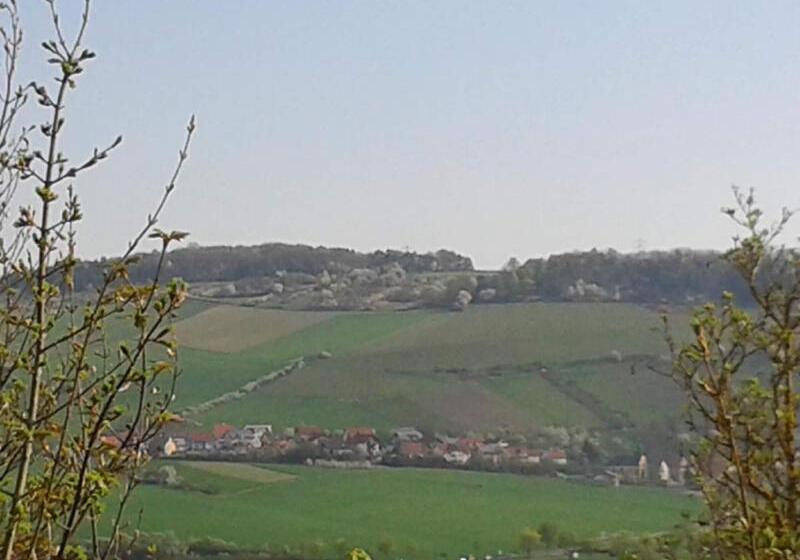 酒店 Rebgut   Die Weinherberge