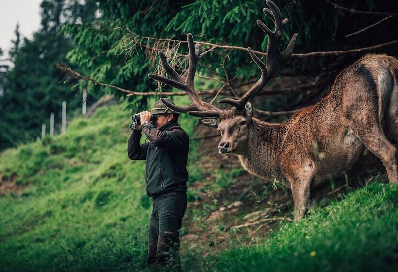 Hotel Torghele S Wald & Fluh