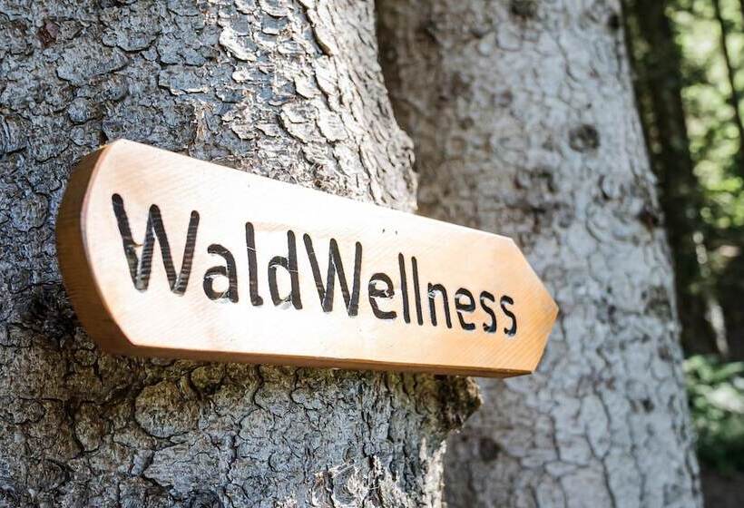 Hotel Torghele S Wald & Fluh