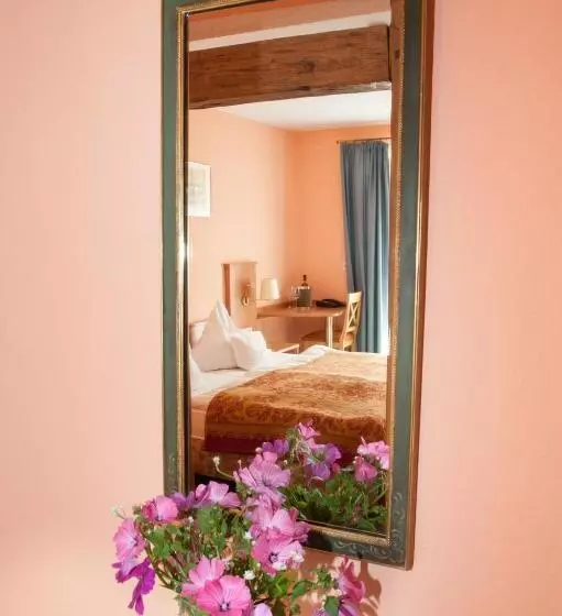 Insel Hof Reichenau Hotel Garni