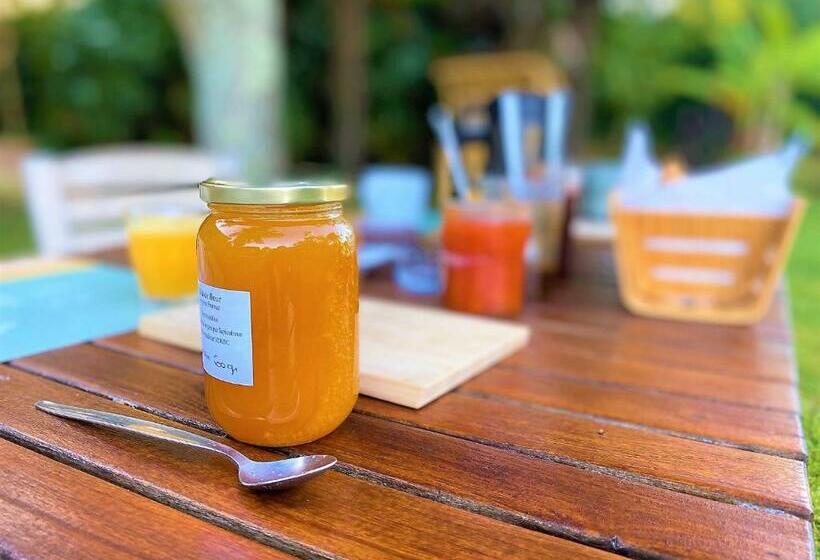 住宿加早餐  Maison Lacourrège