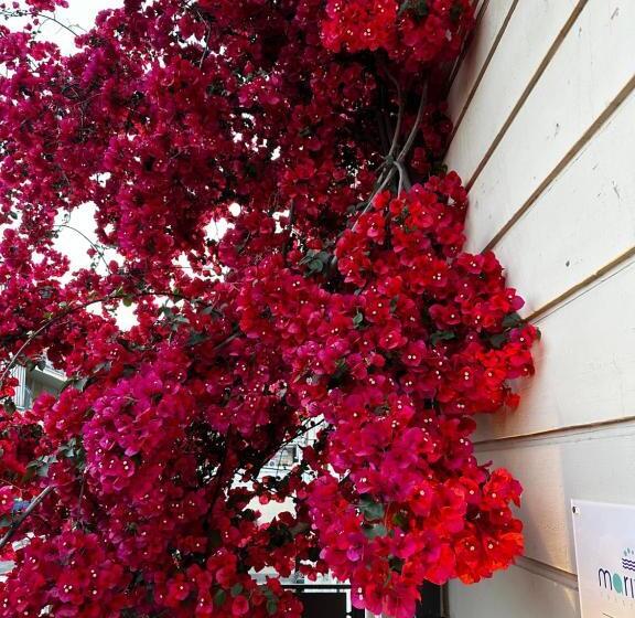 مبيت وإفطار Mariviva Guest House