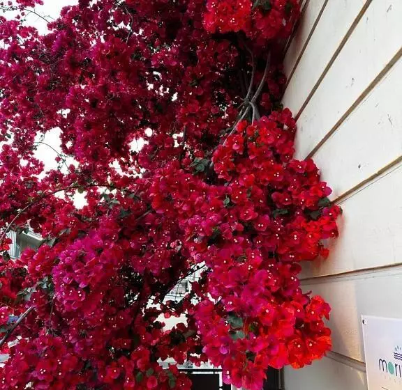 Aamiaismajoitus (B&B) Mariviva Guest House