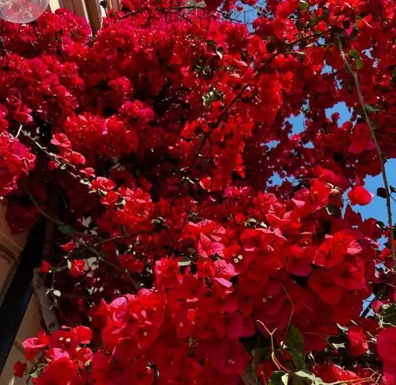 Aamiaismajoitus (B&B) Mariviva Guest House