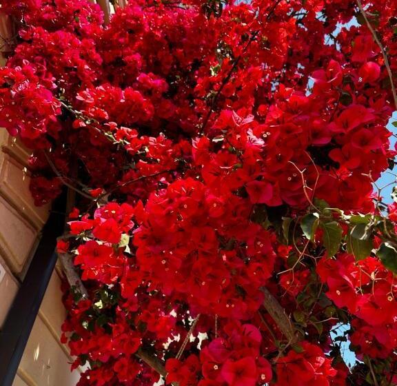 مبيت وإفطار Mariviva Guest House