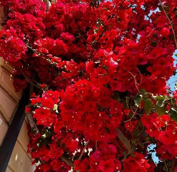 Aamiaismajoitus (B&B) Mariviva Guest House