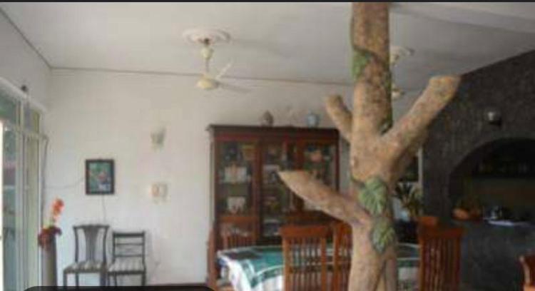 Bed and Breakfast New Casamarc