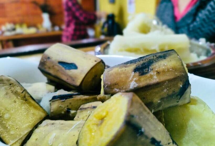 בית מלון כפרי Pousada No Sana Donna Leda