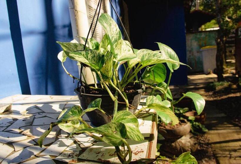 בית מלון כפרי Pousada No Sana Donna Leda