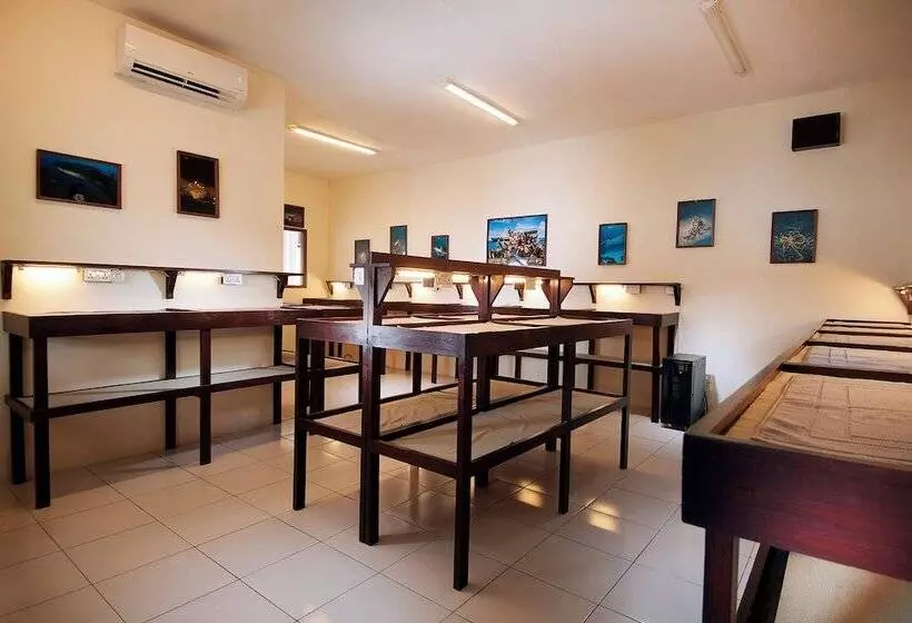 Solitude Lembeh Resort