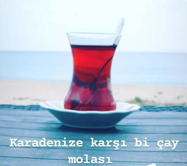 تختخواب و صبحانه Villa Blacksea