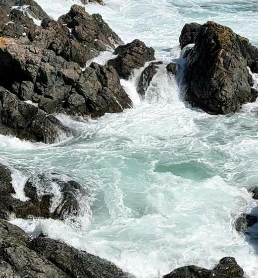 Bed and Breakfast The View Suites And Breakfast In Triton, Newfoundland