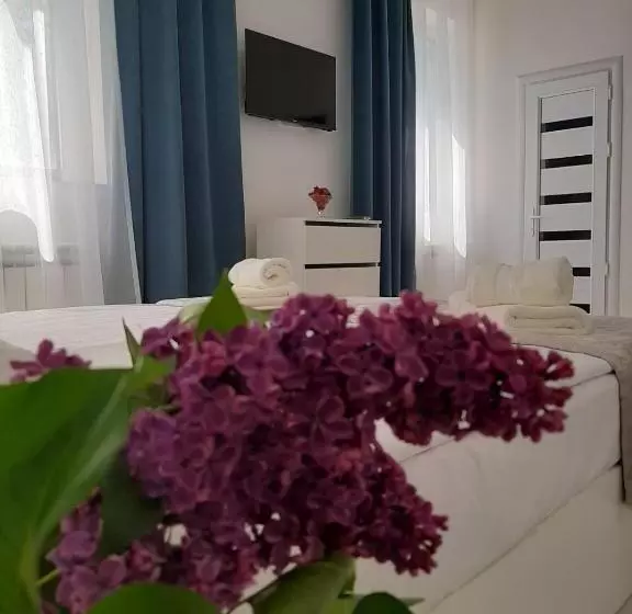 پانسیون Vernatun Guest House