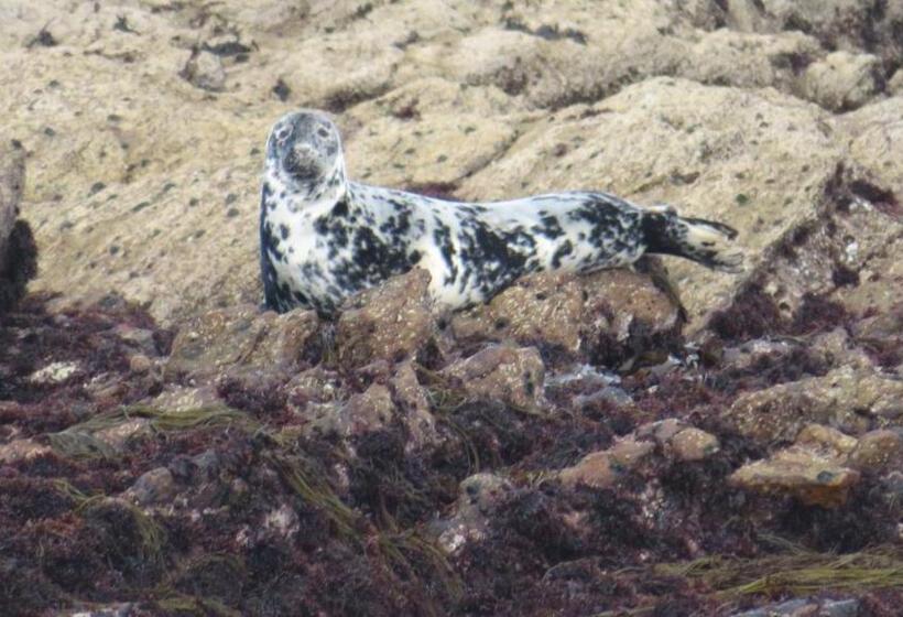 Bed and Breakfast La Chambre De L Embarcadère