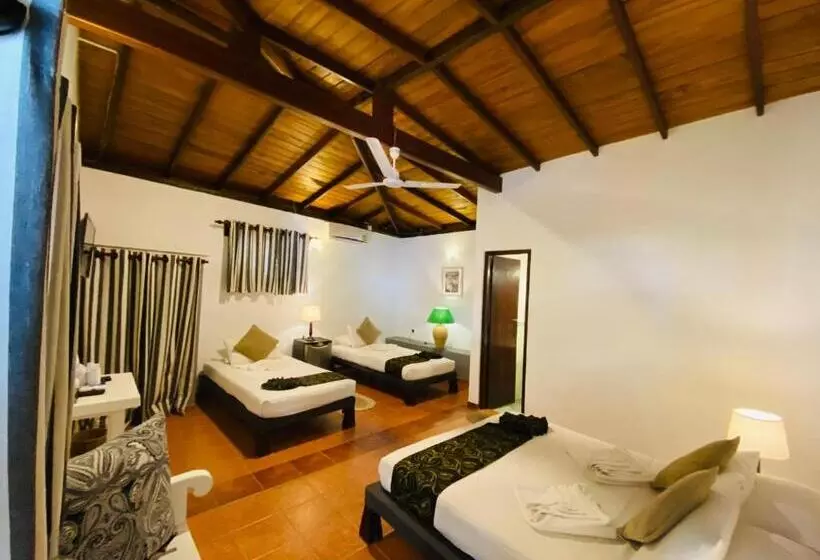 Hotelli Tartaruga Beach Unawatuna