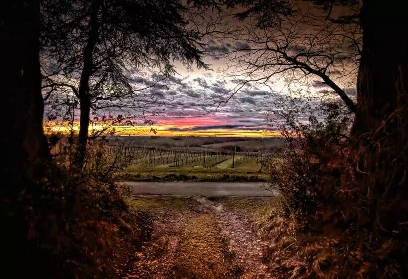 Aamiaismajoitus (B&B) Mulé