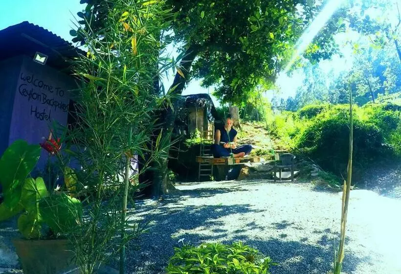 Cozy House Hostel