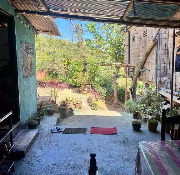 Cozy House Hostel