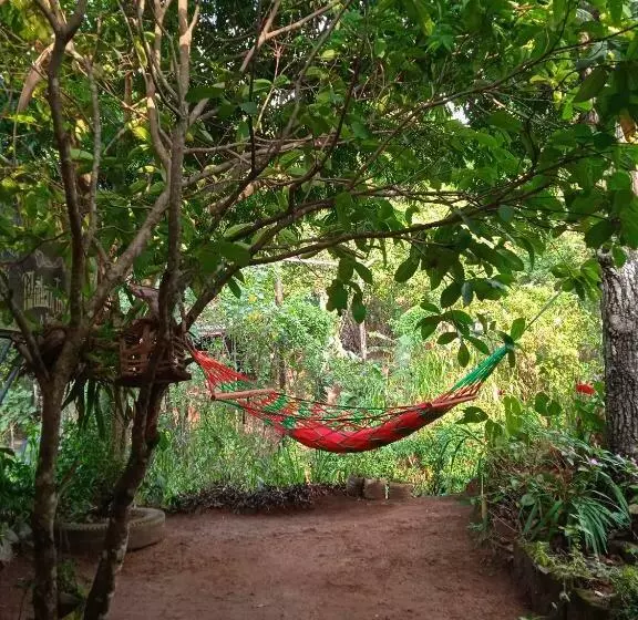 Cozy House Hostel