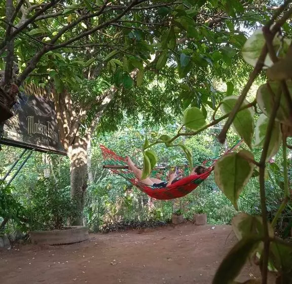 Cozy House Hostel