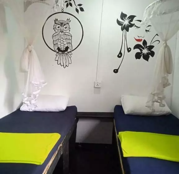 Cozy House Hostel