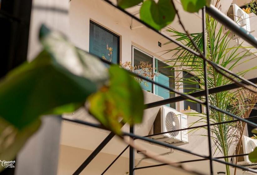 בית מלון כפרי Guitarra Inn