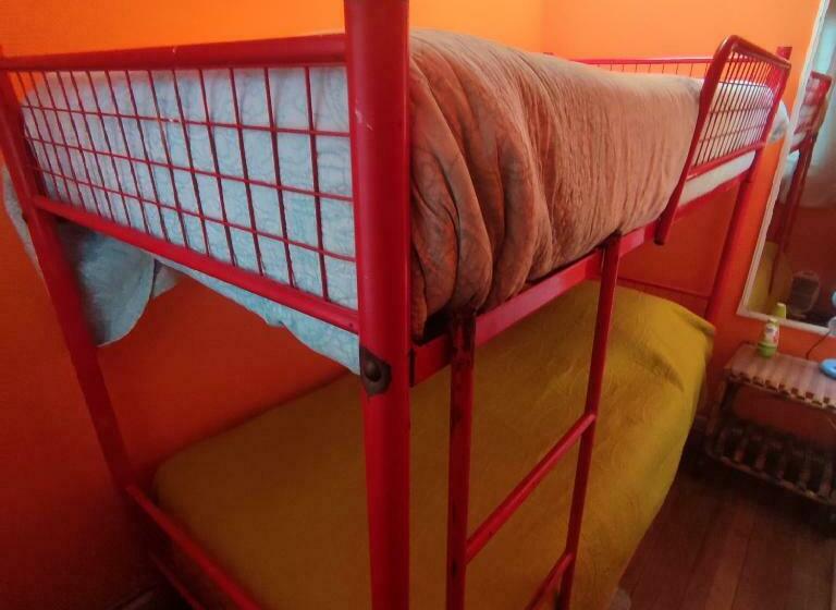 הוסטל Gatos De Campo, Tiernos Y Traviesos