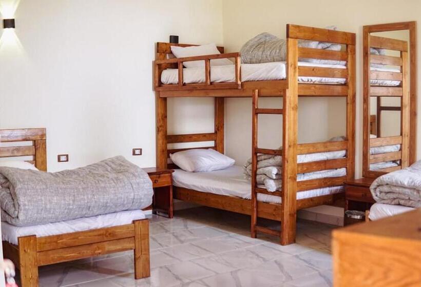 هتل Tree House Dahab