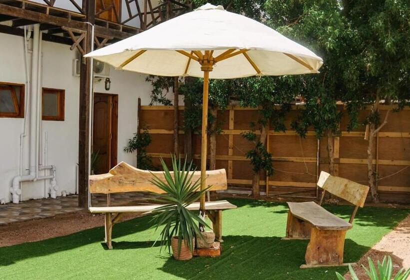هتل Tree House Dahab