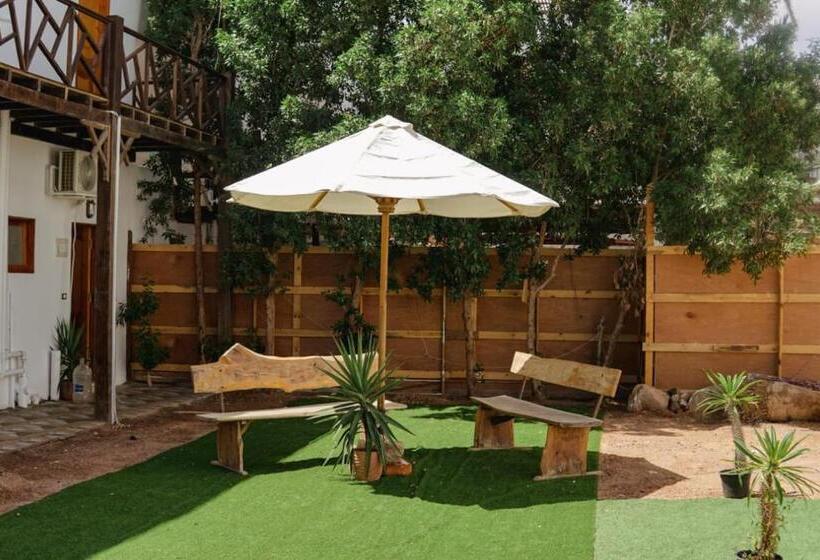 هتل Tree House Dahab